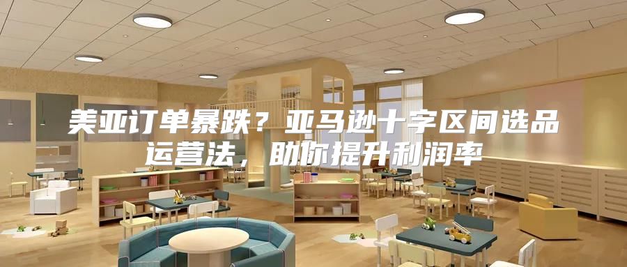 美亚订单暴跌？亚马逊十字区间选品运营法，助你提升利润率