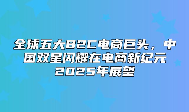 全球五大B2C电商巨头，中国双星闪耀在电商新纪元2025年展望