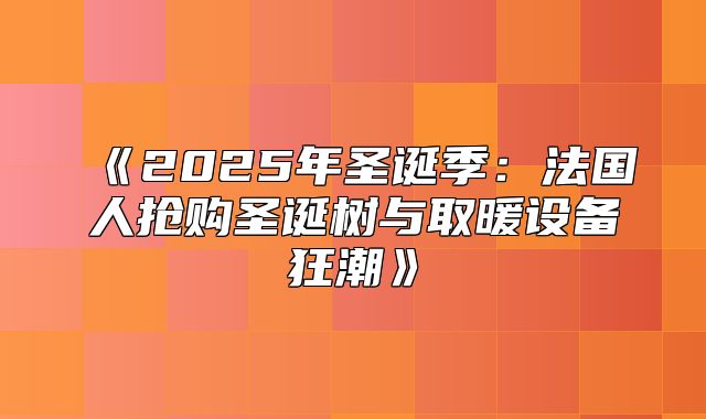 2025年圣诞季：法国人抢购圣诞树与取暖设备狂潮