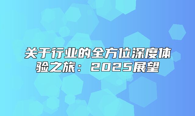 关于行业的全方位深度体验之旅：2025展望