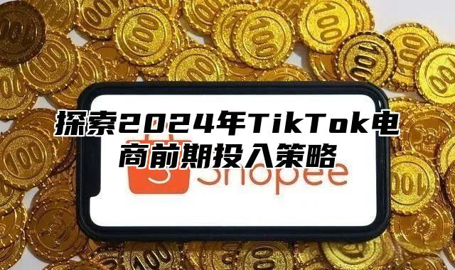 探索2025年TikTok电商前期投入策略