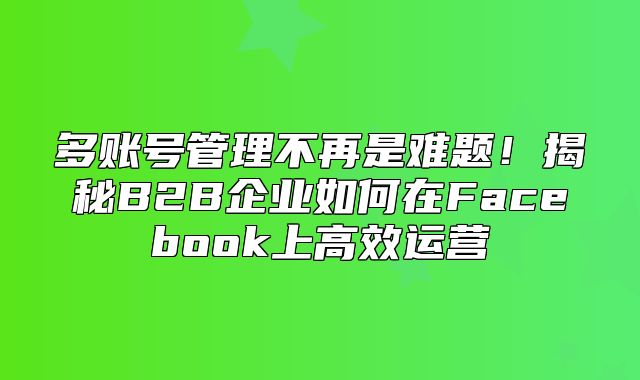 多账号管理不再是难题！揭秘B2B企业如何在Facebook上高效运营