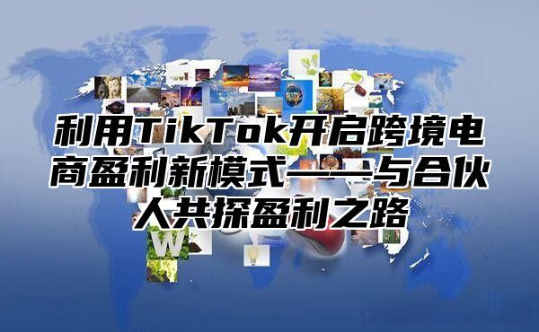 利用TikTok开启跨境电商盈利新模式——与合伙人共探盈利之路
