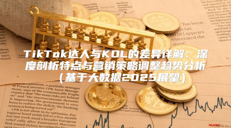 TikTok达人与KOL的差异详解：深度剖析特点与营销策略调整趋势分析基于大数据2025展望