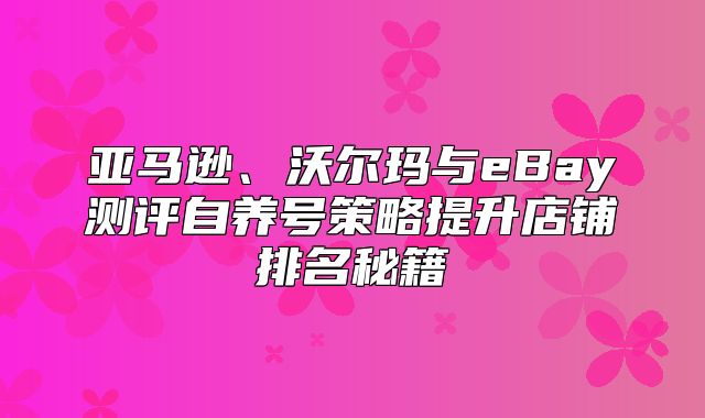 亚马逊、沃尔玛与eBay测评自养号策略提升店铺排名秘籍