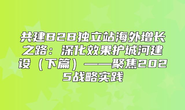 共建B2B独立站海外增长之路：深化效果护城河建设下篇——聚焦2025战略实践