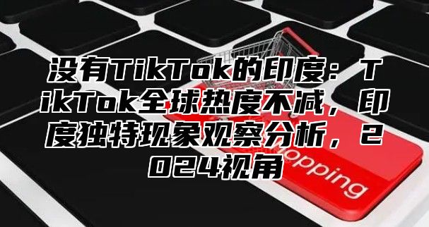 没有TikTok的印度：TikTok全球热度不减，印度独特现象观察分析，2025视角