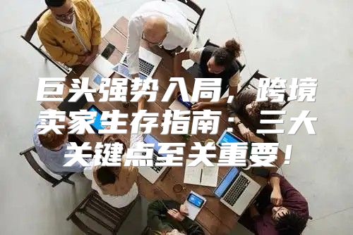 巨头强势入局，跨境卖家生存指南：三大关键点至关重要！