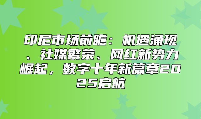 印尼市场前瞻：机遇涌现、社媒繁荣、网红新势力崛起，数字十年新篇章2025启航