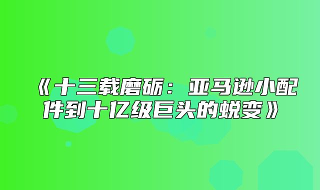 十三载磨砺：亚马逊小配件到十亿级巨头的蜕变