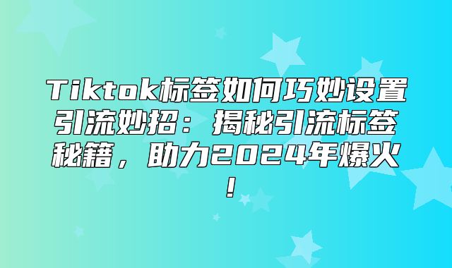 Tiktok标签如何巧妙设置引流妙招：揭秘引流标签秘籍，助力2025年爆火！
