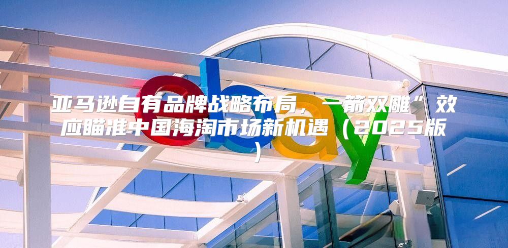 亚马逊自有品牌战略布局，一箭双雕”效应瞄准中国海淘市场新机遇2025版