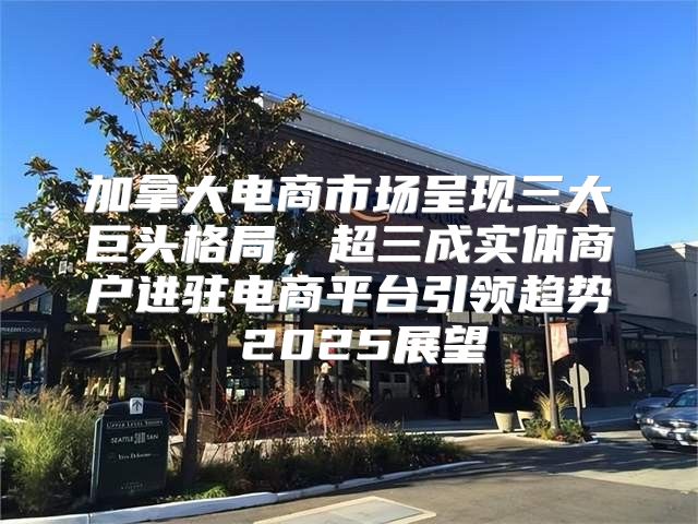 加拿大电商市场呈现三大巨头格局，超三成实体商户进驻电商平台引领趋势 2025展望