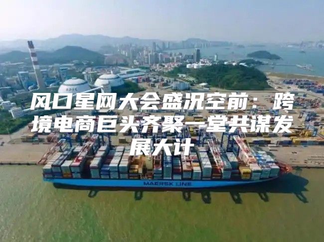 风口星网大会盛况空前：跨境电商巨头齐聚一堂共谋发展大计