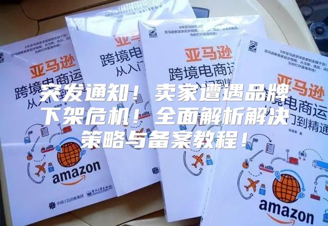 突发通知！卖家遭遇品牌下架危机！全面解析解决策略与备案教程！