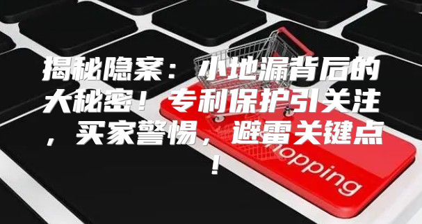 揭秘隐案：小地漏背后的大秘密！专利保护引关注，买家警惕，避雷关键点！