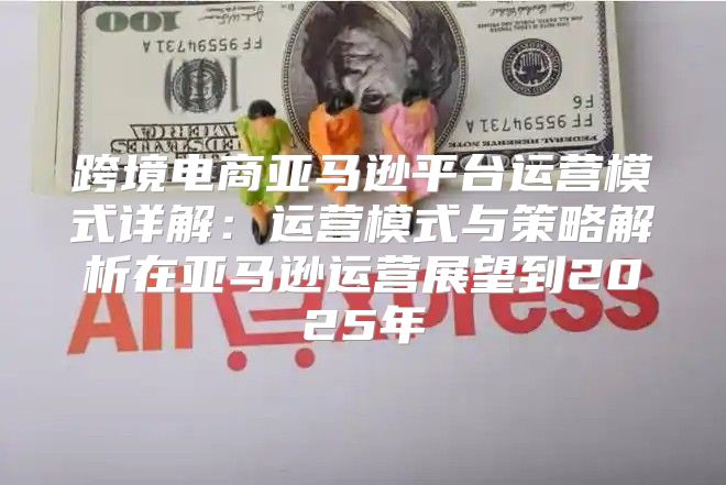 跨境电商亚马逊平台运营模式详解：运营模式与策略解析在亚马逊运营展望到2025年