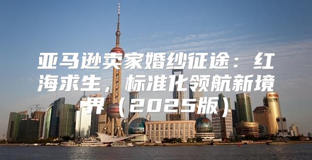 亚马逊卖家婚纱征途：红海求生，标准化领航新境界2025版