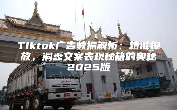 Tiktok广告数据解析：精准投放，洞悉文案表现秘籍的奥秘2025版