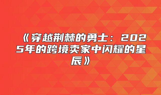 穿越荆棘的勇士：2025年的跨境卖家中闪耀的星辰