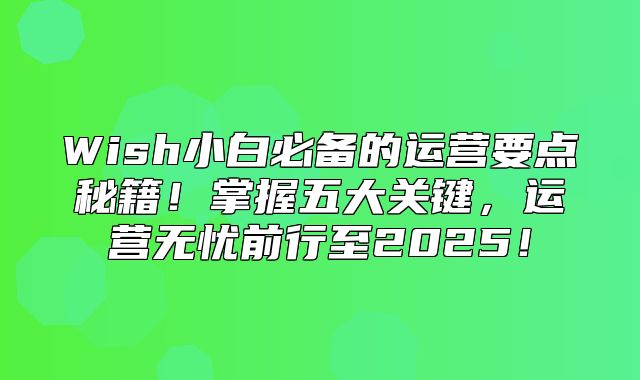Wish小白必备的运营要点秘籍！掌握五大关键，运营无忧前行至2025！