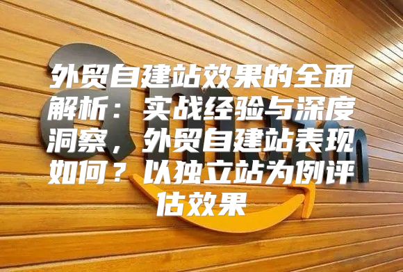 外贸自建站效果的全面解析：实战经验与深度洞察，外贸自建站表现如何？以独立站为例评估效果