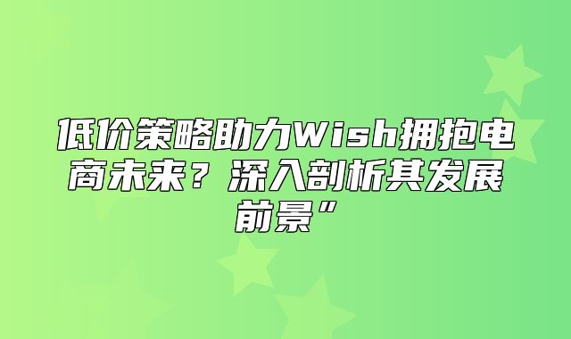 低价策略助力Wish拥抱电商未来？深入剖析其发展前景”