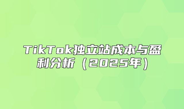 TikTok独立站成本与盈利分析2025年