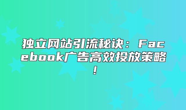 独立网站引流秘诀：Facebook广告高效投放策略！