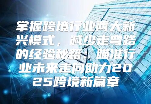 掌握跨境行业两大新兴模式，减少走弯路的经验秘籍：瞄准行业未来走向助力2025跨境新篇章