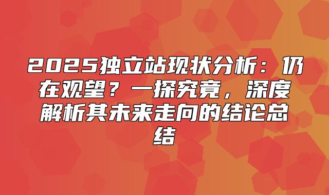 2025独立站现状分析：仍在观望？一探究竟，深度解析其未来走向的结论总结
