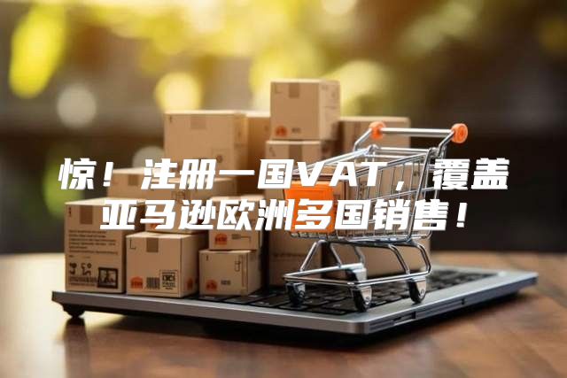 惊！注册一国VAT，覆盖亚马逊欧洲多国销售！
