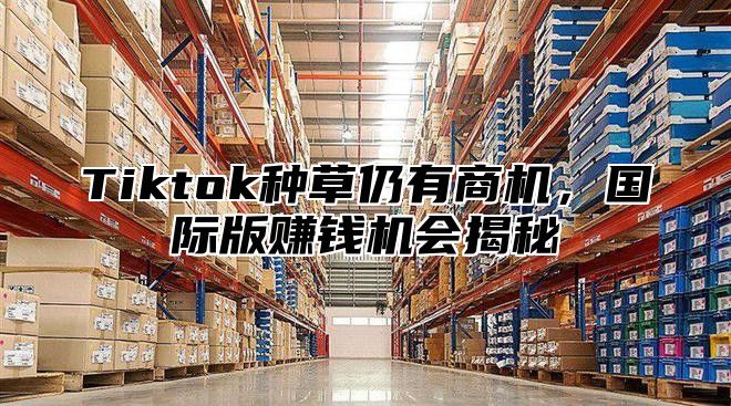 Tiktok种草仍有商机，国际版赚钱机会揭秘