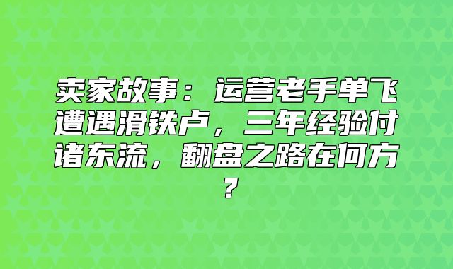 卖家故事：运营老手单飞遭遇滑铁卢，三年经验付诸东流，翻盘之路在何方？