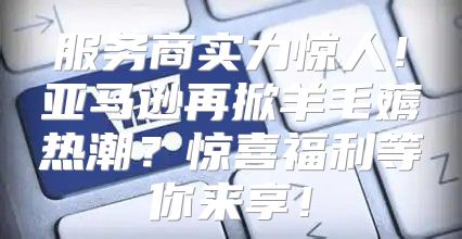服务商实力惊人！亚马逊再掀羊毛薅热潮？惊喜福利等你来享！