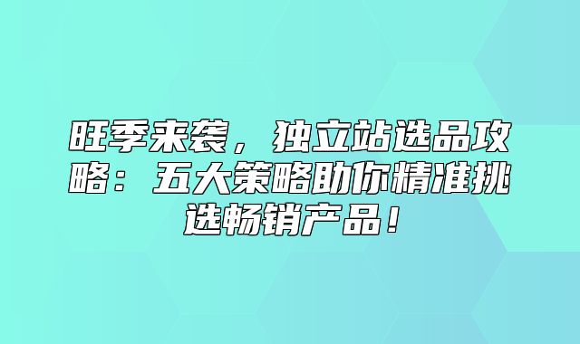 旺季来袭，独立站选品攻略：五大策略助你精准挑选畅销产品！
