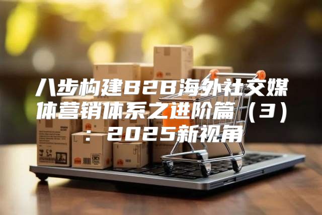八步构建B2B海外社交媒体营销体系之进阶篇3：2025新视角
