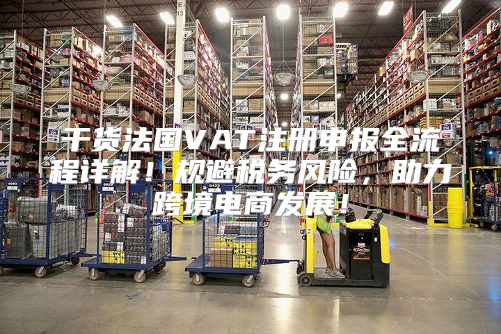 干货法国VAT注册申报全流程详解！规避税务风险，助力跨境电商发展！