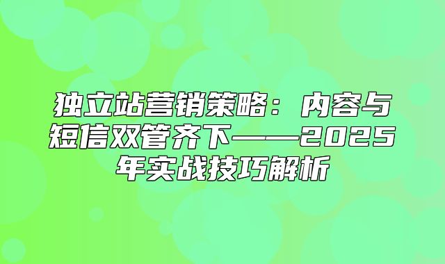 独立站营销策略：内容与短信双管齐下——2025年实战技巧解析