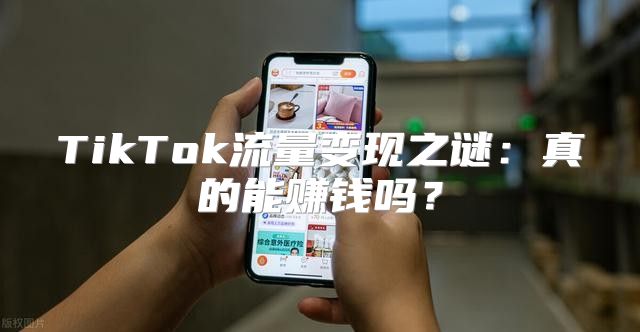 TikTok流量变现之谜：真的能赚钱吗？