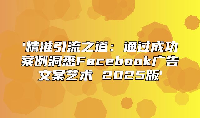 '精准引流之道：通过成功案例洞悉Facebook广告文案艺术 2025版'