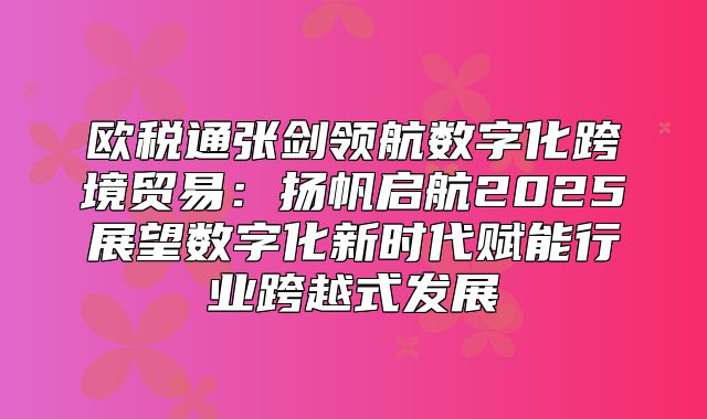 欧税通张剑领航数字化跨境贸易：扬帆启航2025展望数字化新时代赋能行业跨越式发展