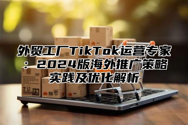 外贸工厂TikTok运营专家：2025版海外推广策略实践及优化解析