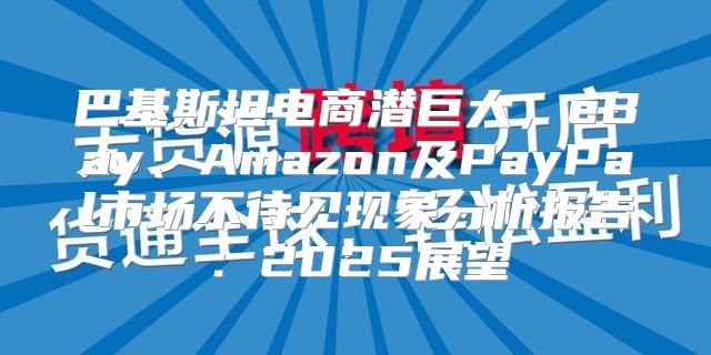 巴基斯坦电商潜巨大，eBay、Amazon及PayPal市场不待见现象分析报告：2025展望
