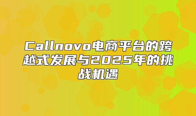 Callnovo电商平台的跨越式发展与2025年的挑战机遇