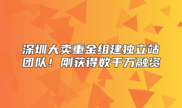 深圳大卖重金组建独立站团队！刚获得数千万融资