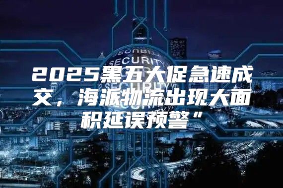 2025黑五大促急速成交，海派物流出现大面积延误预警”