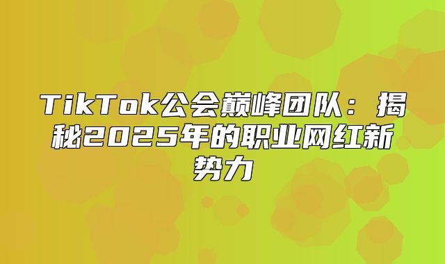 TikTok公会巅峰团队：揭秘2025年的职业网红新势力