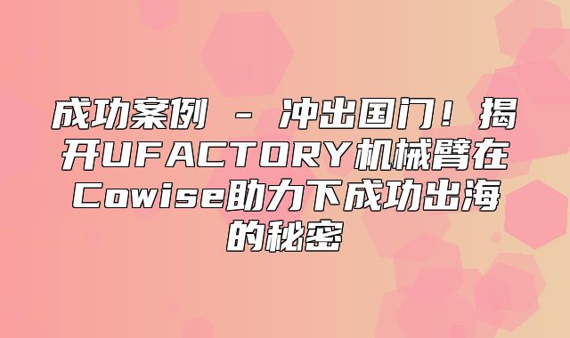 成功案例 - 冲出国门！揭开UFACTORY机械臂在Cowise助力下成功出海的秘密