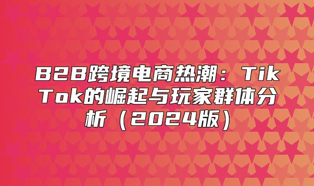 B2B跨境电商热潮：TikTok的崛起与玩家群体分析2025版